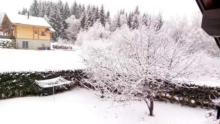 Chalet Trois Etoiles Xonrupt-Longemer Exterior foto